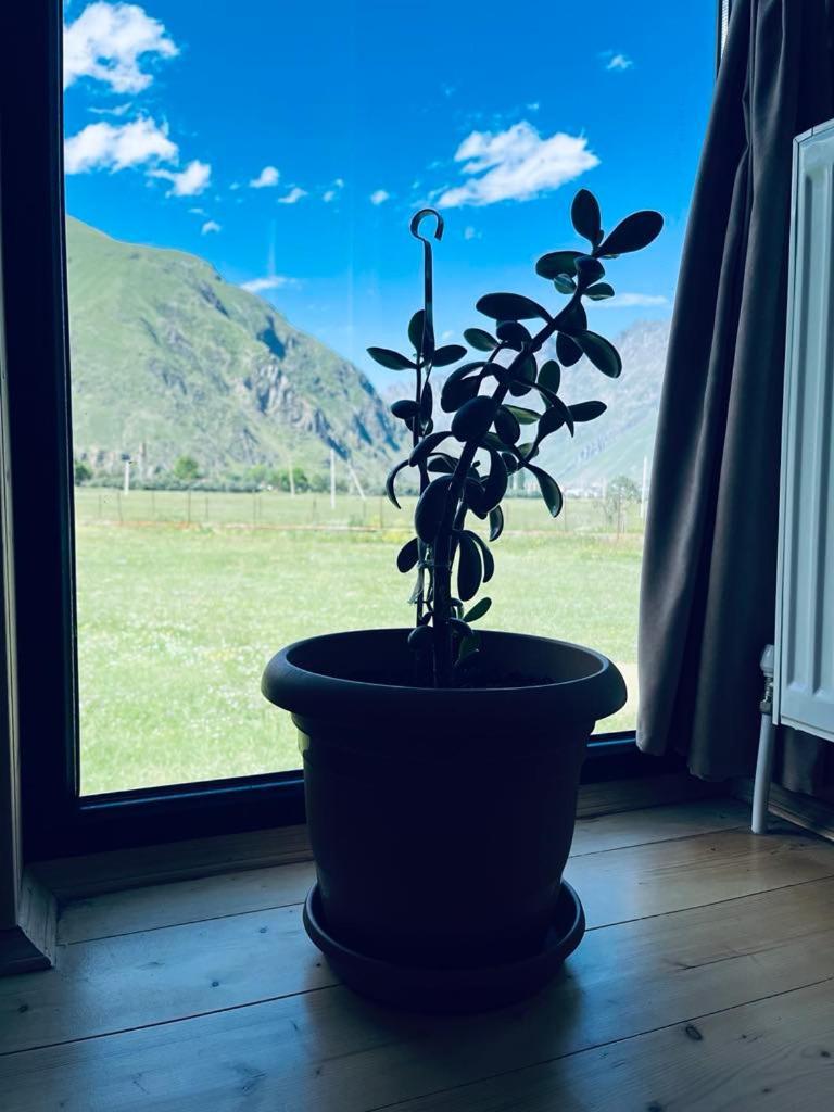 Holiday home Quiet Cottage, Stepantsminda,